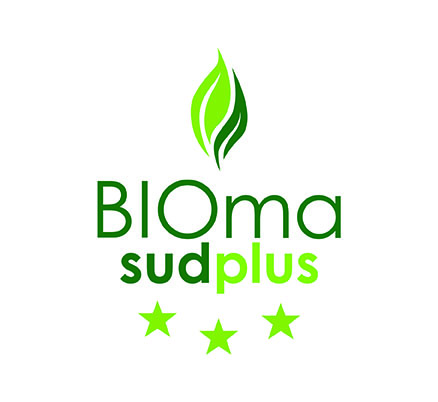 Projeto BIOMASUD PLUS