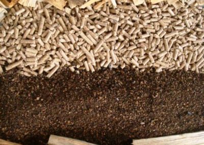 Biocombustíveis Sólidos