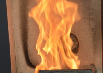 Utilização de biomassa