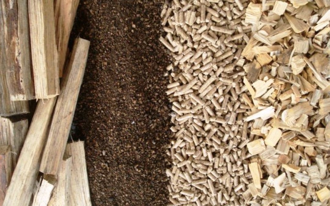 Laboratório Acreditado