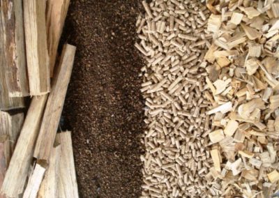 PREÇOS DE REFERÊNCIA DA BIOMASSA