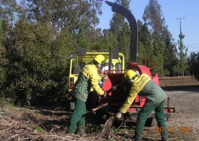 IMPACTO SOCIOECONÓMICO DA BIOMASSA DE ORIGEM FLORESTAL EM PORTUGAL