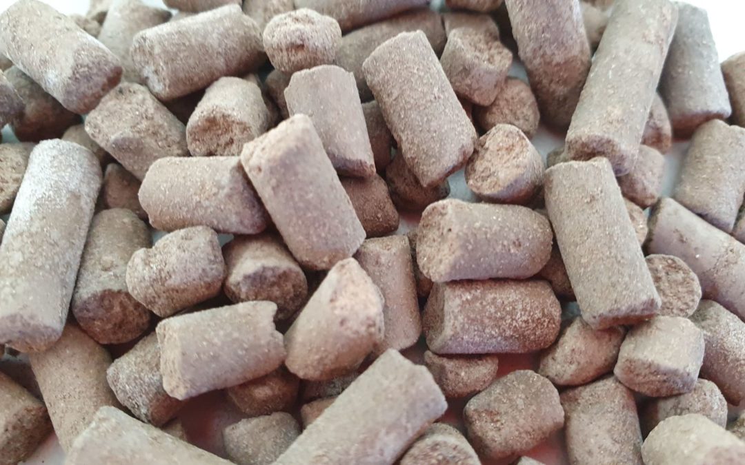 Artigo | Peletização das cinzas das centrais termoeléctricas a biomassa