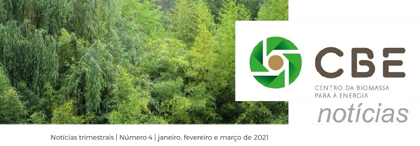 CBE notícias#4