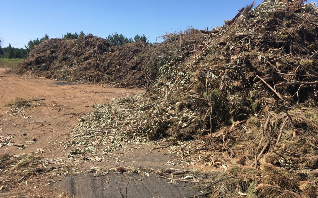 Espaço CBE na Renováveis Magazine Nº 45