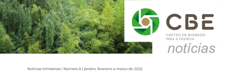 CBE notícias #8