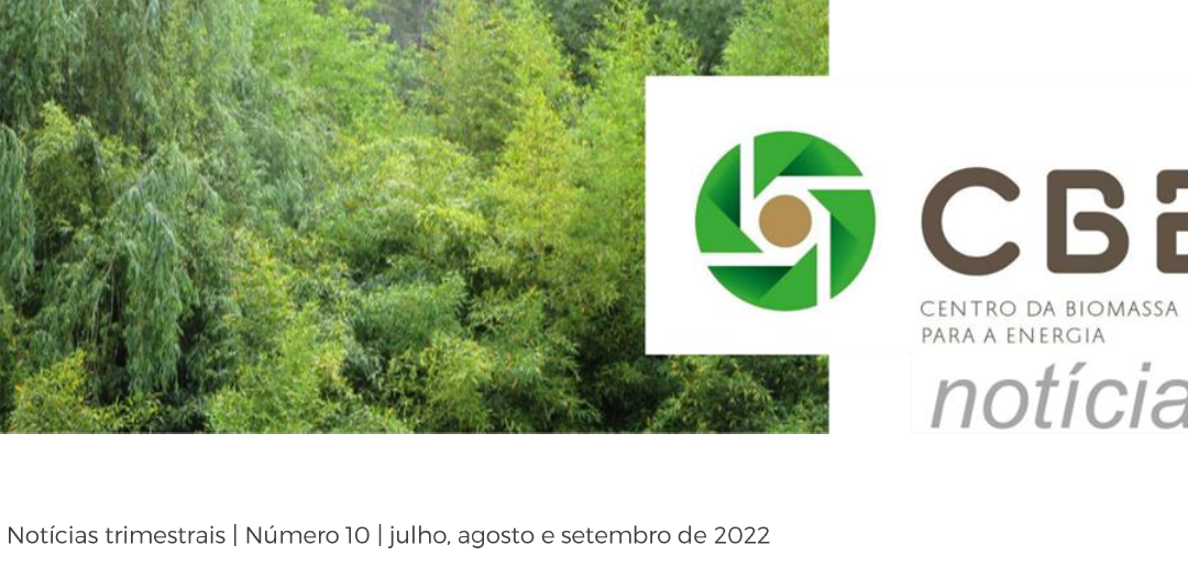 CBE Notícias #10