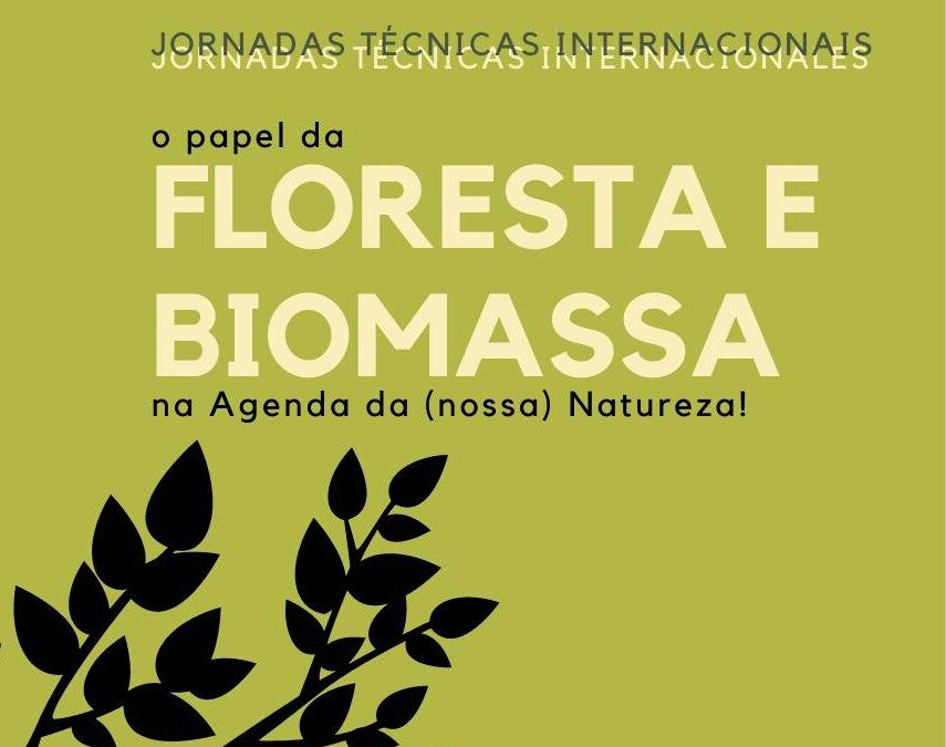 CBE em Jornadas Técnicas sobre floresta e biomassa