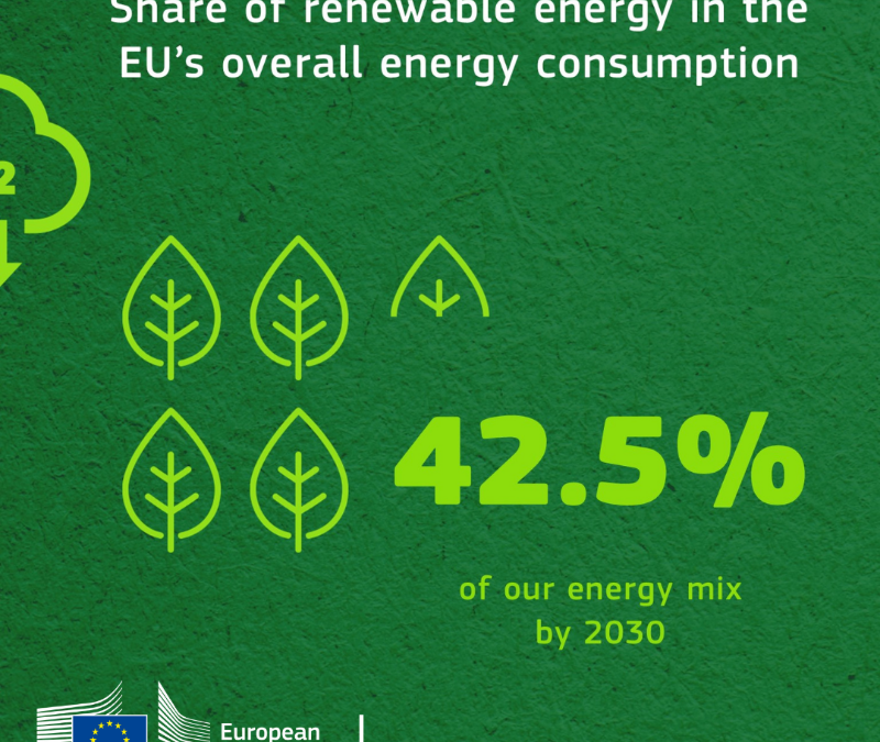 CE com novas regras para biomassa