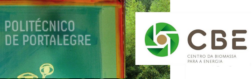 CBE e IPP renovam protocolo de cooperação