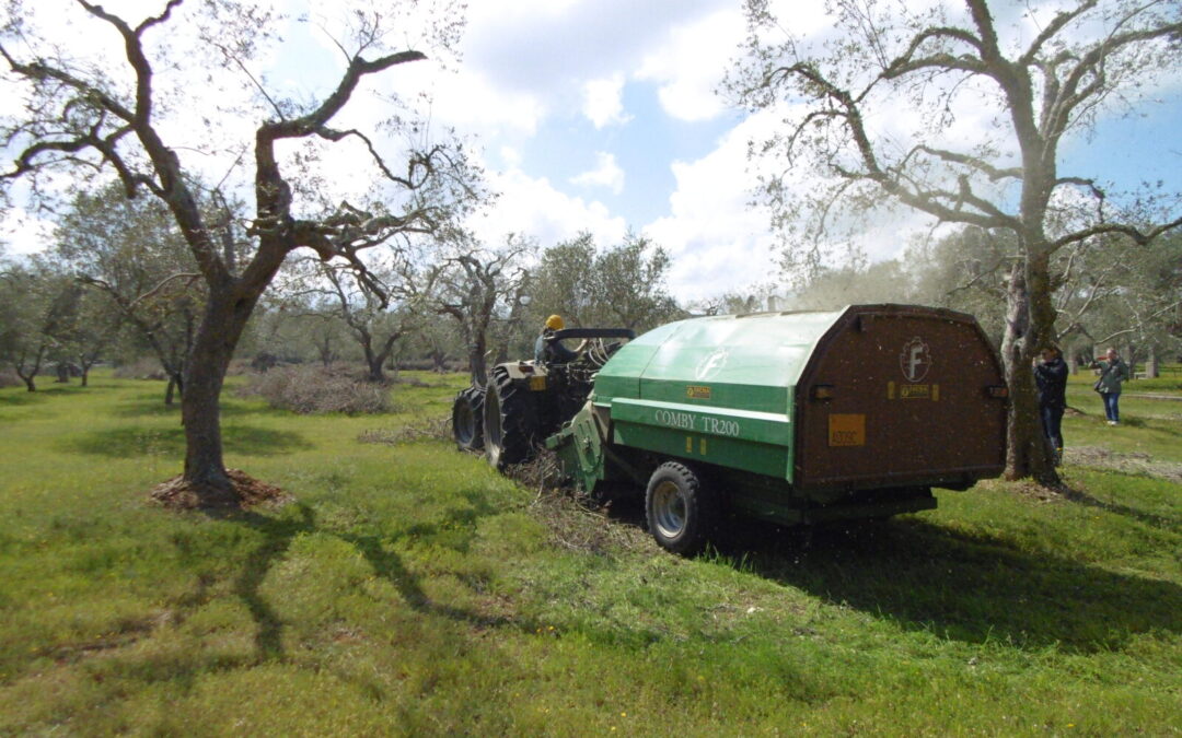 Boas Práticas: Uma cadeia de valor completa de resíduos de poda para o sul da Itália