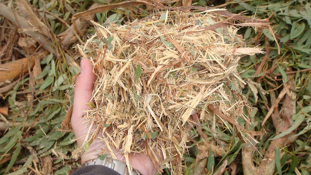 Boas Práticas: Protótipo de recolha da biomassa dos resíduos de poda das vinhas