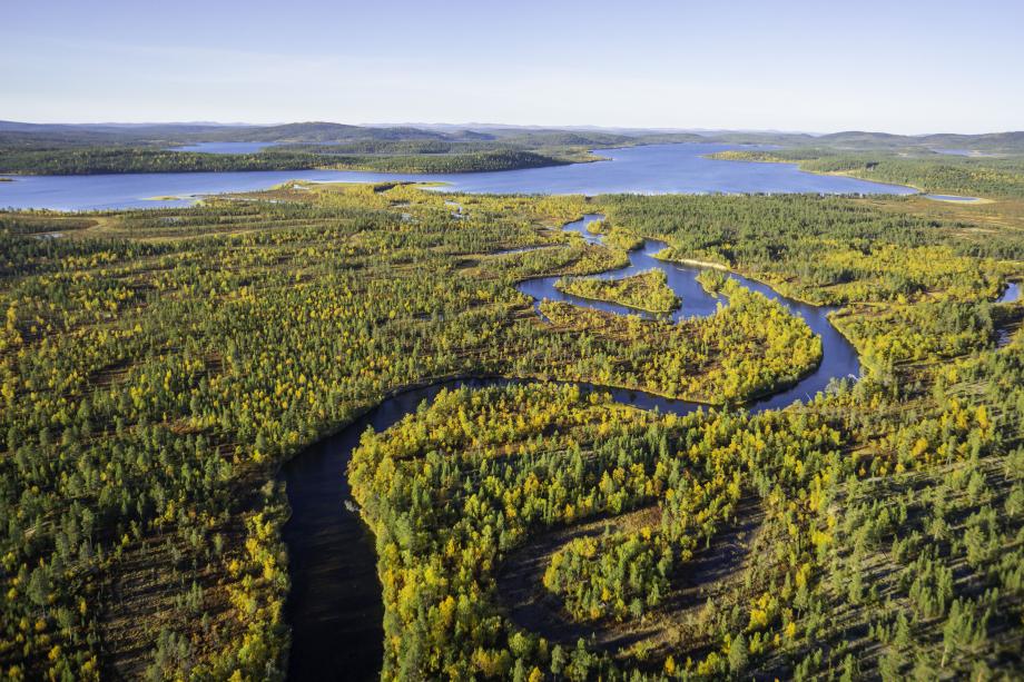 Boas Práticas: Secador híbrido de biomassa
