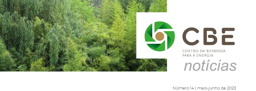 CBE NOTÍCIAS #14
