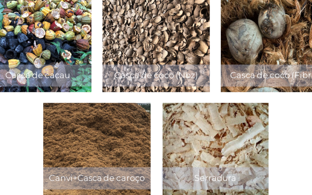 espaço cbe na renováveis magazine nº54