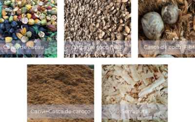 espaço cbe na renováveis magazine nº54